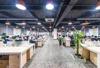 静安区一站式马路绿化费用